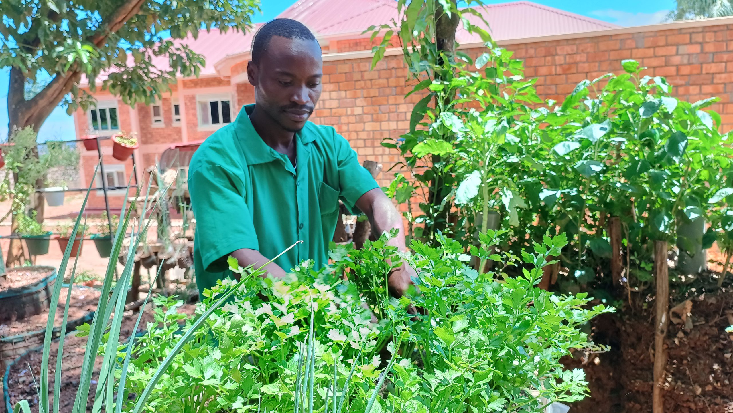 JRS Uganda and State PRM: Livelihoods Program Plants Seeds of Hope ...