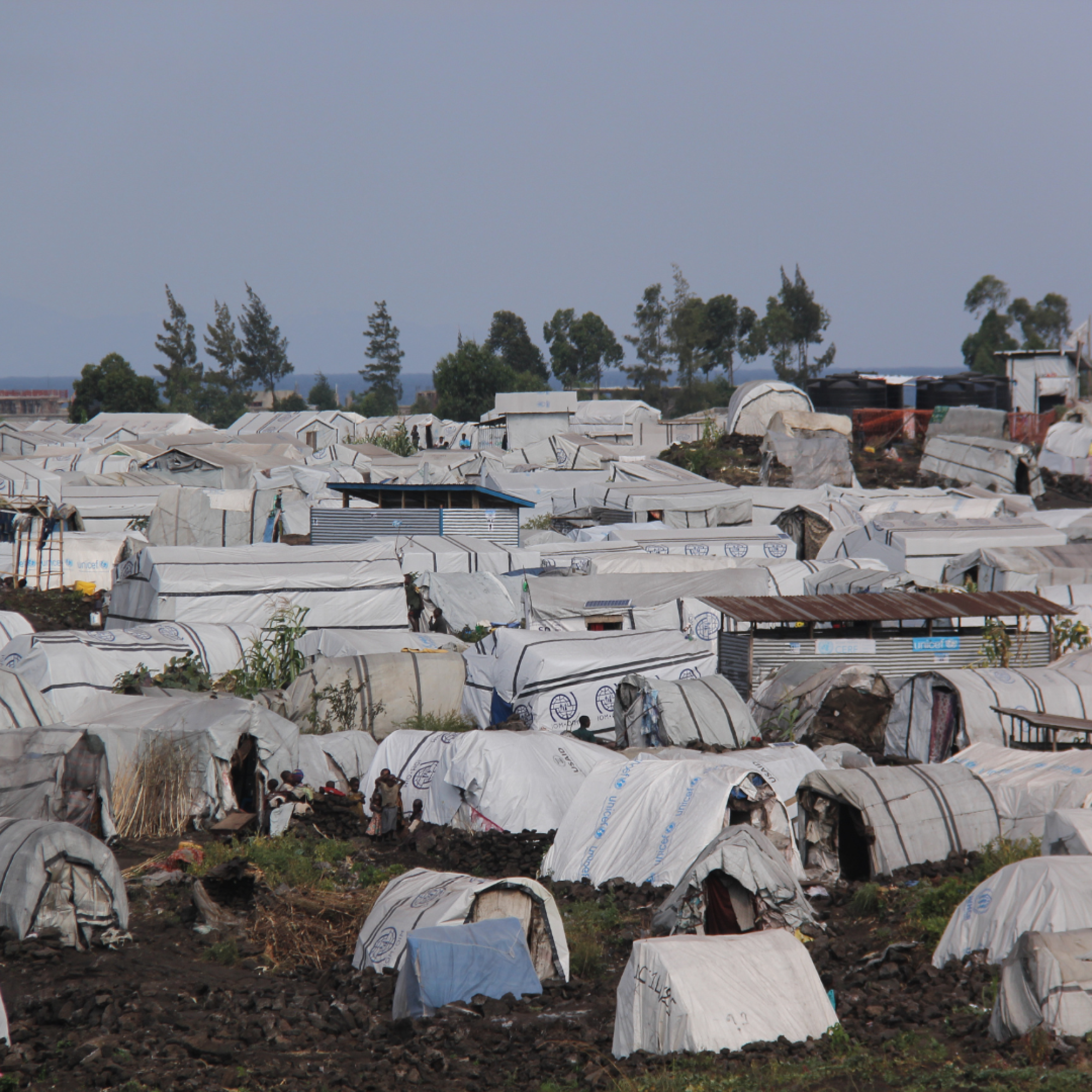 A cluster of white tents in a field, which is a refugee camp.